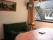 Barges mountain and ski rentals: appartement no. 80544
