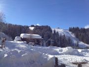 Haute-Savoie mountain and ski rentals: appartement no. 83890