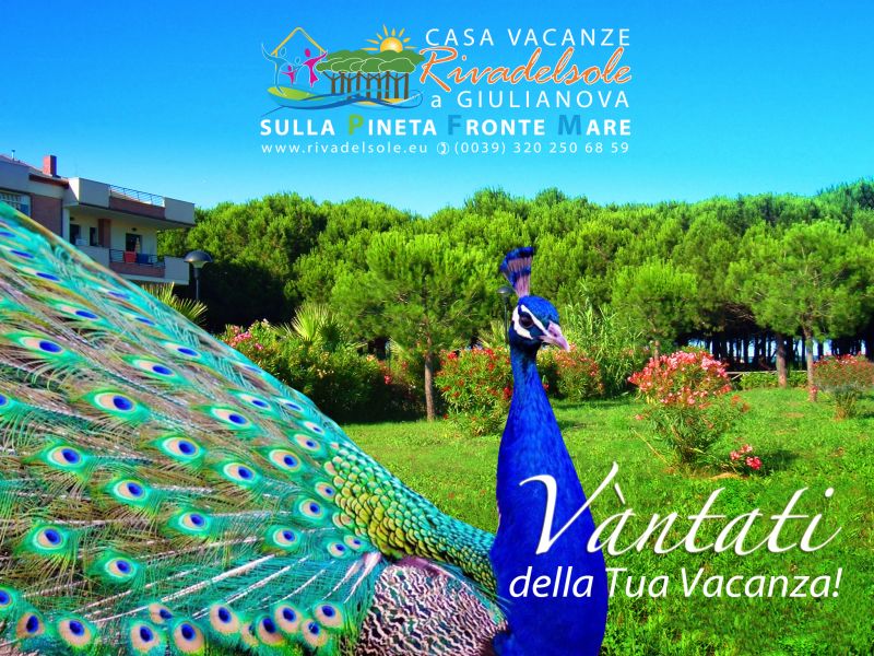 photo 6 Owner direct vacation rental Giulianova studio Abruzzo Teramo Province Outside view