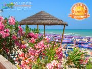 Alba Adriatica beach and seaside rentals: studio no. 84257