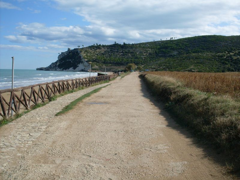 photo 25 Owner direct vacation rental San Menaio appartement Puglia Foggia Province Surroundings