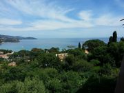 French Riviera sea view holiday rentals: appartement no. 107760