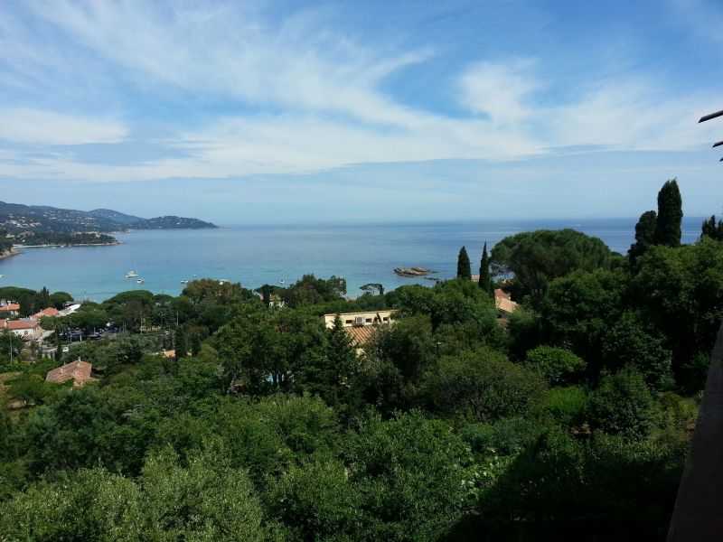 photo 0 Owner direct vacation rental Le Lavandou appartement Provence-Alpes-Cte d'Azur Var View from terrace