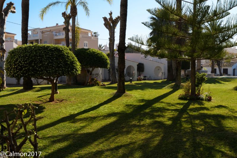 photo 16 Owner direct vacation rental Denia bungalow Valencian Community Alicante (province of) Garden