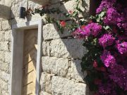 Corse Du Sud holiday rentals: maison no. 113232