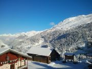 Peisey-Vallandry holiday rentals: chalet no. 116157