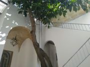 Lecce Province holiday rentals for 2 people: appartement no. 124204