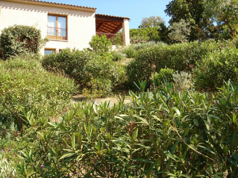 photo 17 Owner direct vacation rental Porticcio maison Corsica Corse du Sud Garden