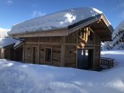 French Alps mountain and ski rentals: chalet no. 128514