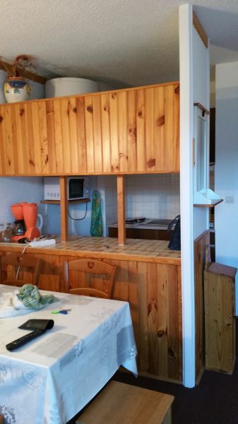 photo 3 Owner direct vacation rental Saint Lary Soulan studio Midi-Pyrnes Hautes-Pyrnes Open-plan kitchen