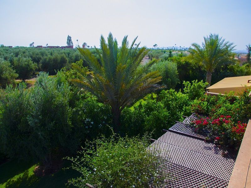 photo 13 Owner direct vacation rental Marrakech villa   View from terrace