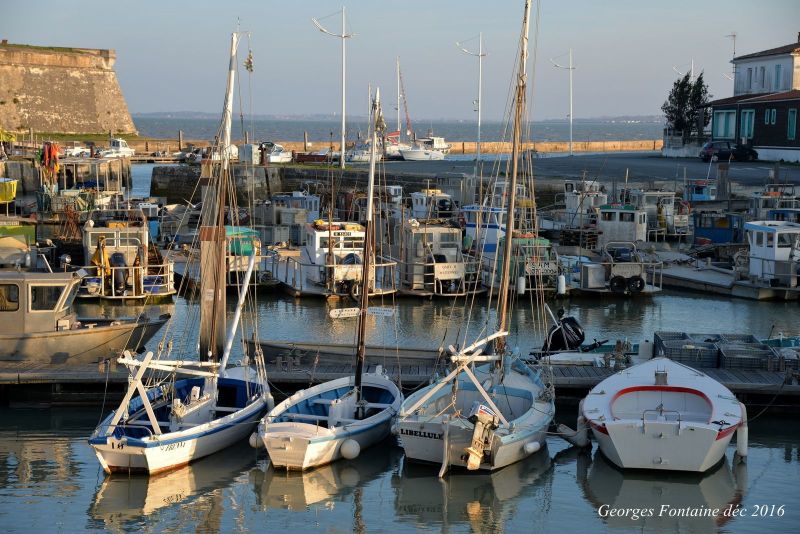 photo 10 Owner direct vacation rental Rochefort sur Mer studio Poitou-Charentes Charente-Maritime