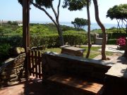 Golfo Dell'Asinara sea view holiday rentals: appartement no. 114291
