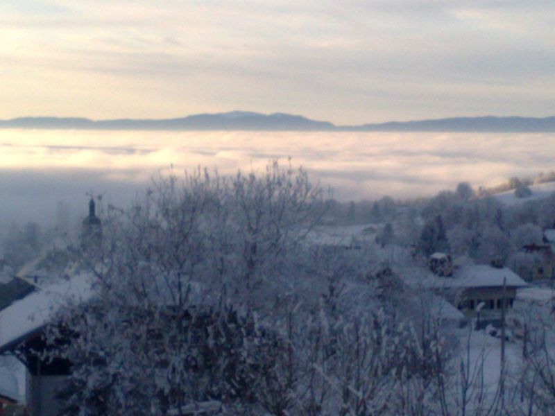 photo 7 Owner direct vacation rental Thollon Les Mmises appartement Rhone-Alps Haute-Savoie View from the property