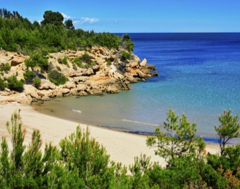 photo 17 Owner direct vacation rental L'Ametlla de Mar chalet Catalonia Tarragona (province of)