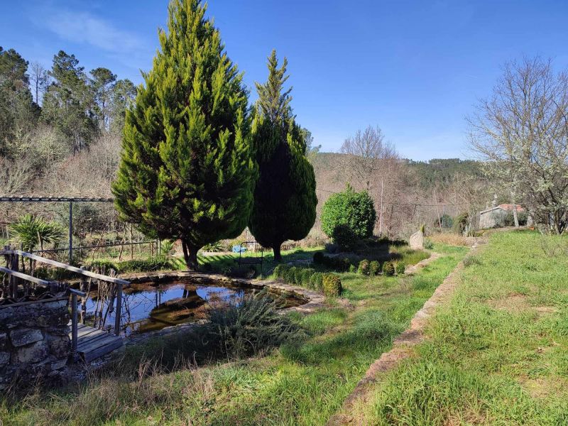 photo 11 Owner direct vacation rental Viseu gite Beiras Beira Alta Garden