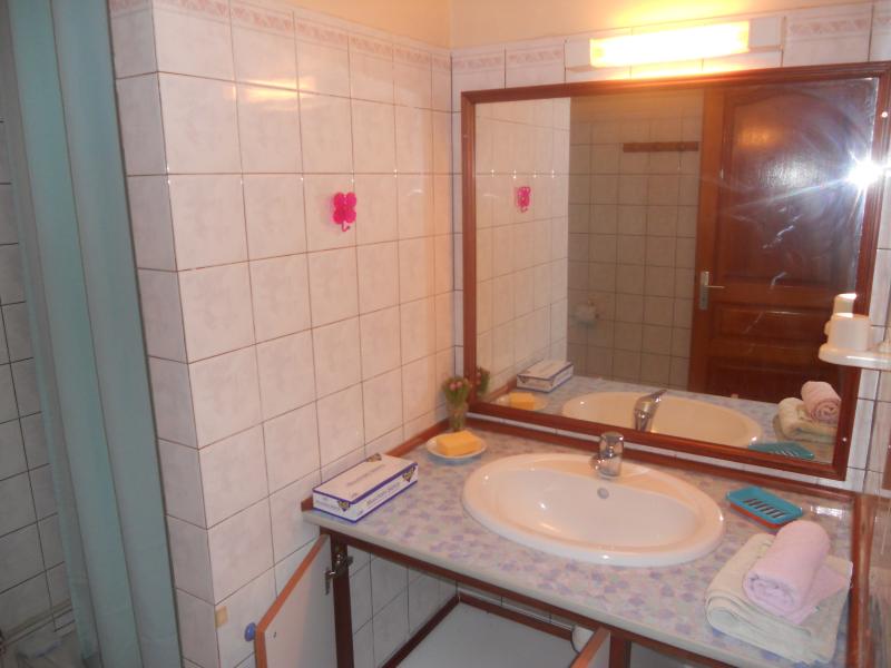 photo 10 Owner direct vacation rental Sainte Anne (Martinique) appartement   Washing facilities