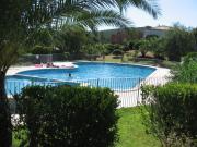 Porto Vecchio swimming pool holiday rentals: appartement no. 69785