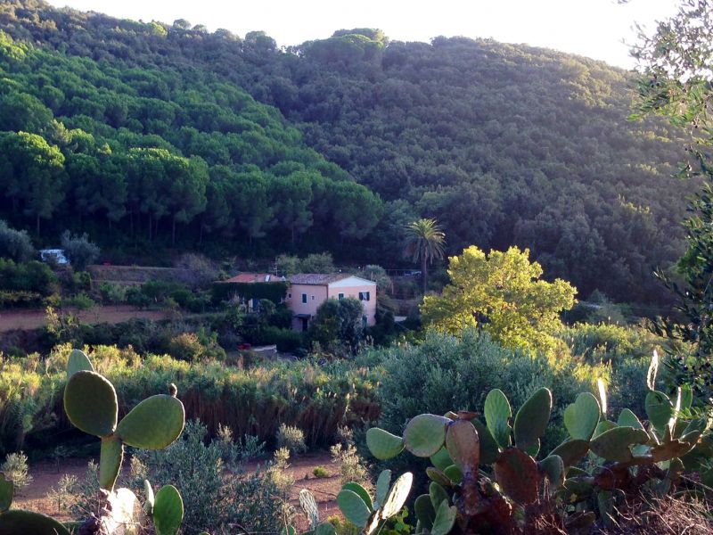 photo 7 Owner direct vacation rental Portoferraio appartement Tuscany Elba Island Outside view