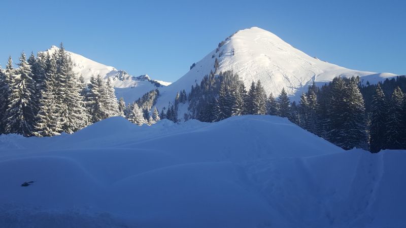 photo 16 Owner direct vacation rental Praz de Lys Sommand appartement Rhone-Alps Haute-Savoie View from the property