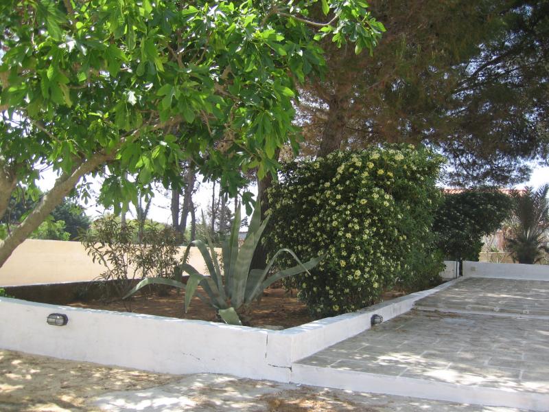 photo 17 Owner direct vacation rental Pescoluse appartement Puglia Lecce Province Garden