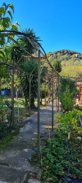 photo 11 Owner direct vacation rental Ceret appartement Languedoc-Roussillon Pyrnes-Orientales Garden