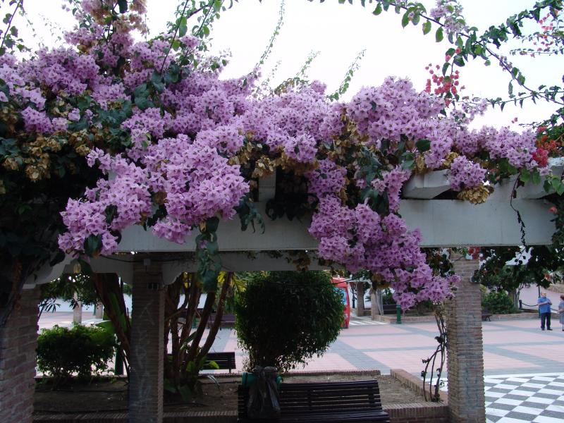 photo 10 Owner direct vacation rental Nerja appartement Andalucia Mlaga (province of) Surroundings