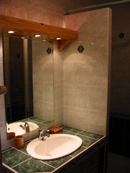 photo 4 Owner direct vacation rental Les 2 Alpes appartement Rhone-Alps Isre Washing facilities