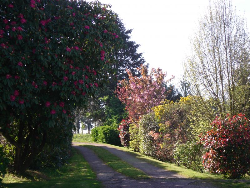 photo 14 Owner direct vacation rental Douarnenez maison Brittany Finistre Garden