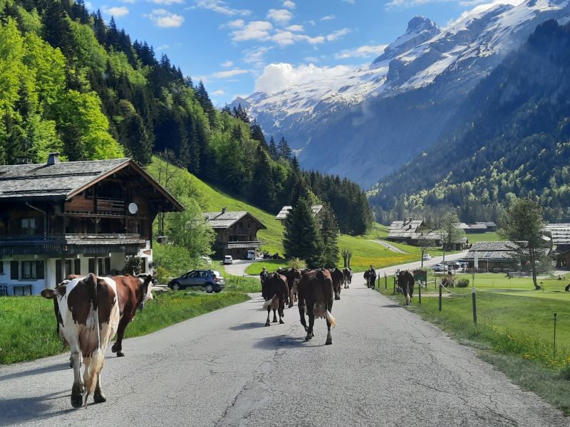 photo 26 Owner direct vacation rental Le Grand Bornand appartement Rhone-Alps Haute-Savoie Outside view