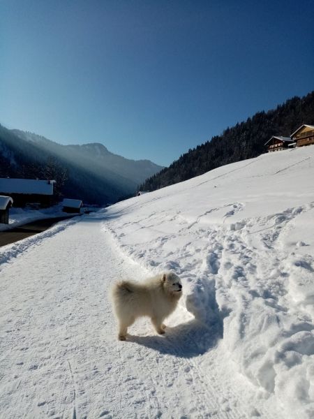 photo 23 Owner direct vacation rental Le Grand Bornand appartement Rhone-Alps Haute-Savoie View from the property