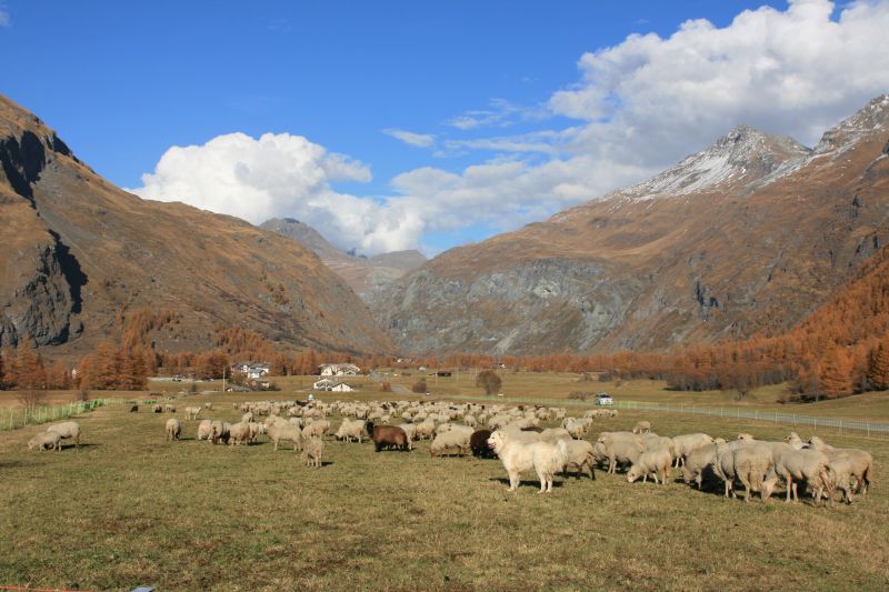 photo 14 Owner direct vacation rental Val Cenis appartement Rhone-Alps Savoie Other view