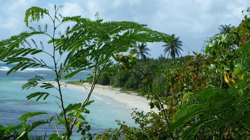 photo 8 Owner direct vacation rental Sainte Anne (Guadeloupe) gite Grande Terre  Beach