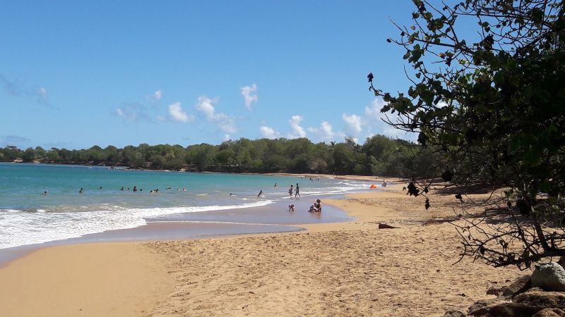 photo 14 Owner direct vacation rental Sainte Rose bungalow Basse Terre  Beach