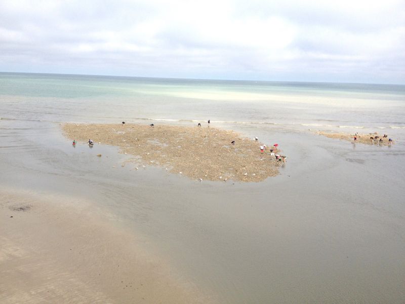 photo 20 Owner direct vacation rental Le Trport maison Normandy (Haute-Normandie) Seine-Maritime Beach