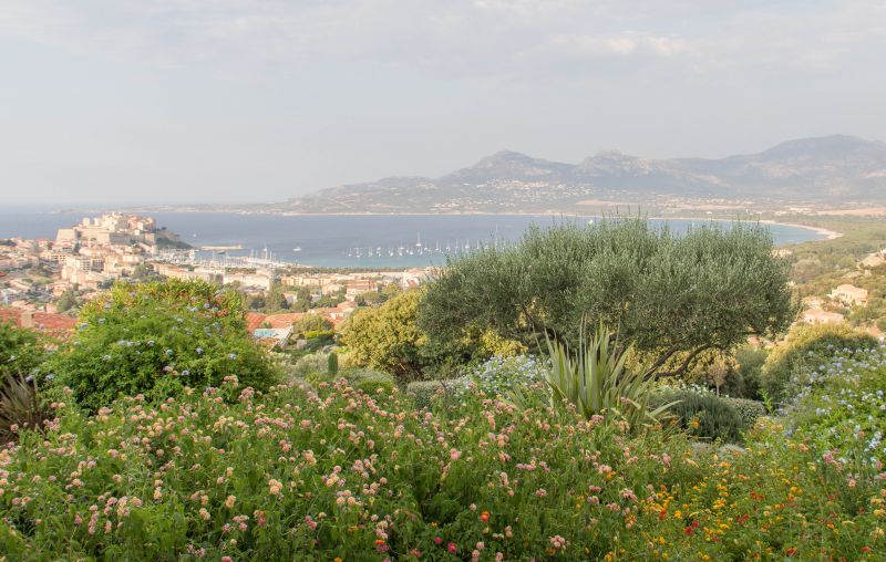 photo 13 Owner direct vacation rental Calvi studio Corsica Corsica Outside view