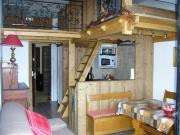 France ski-in ski-out holiday rentals: studio no. 18670