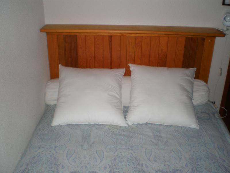 photo 2 Owner direct vacation rental Saint Lary Soulan appartement Midi-Pyrnes Hautes-Pyrnes