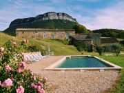 Provence holiday rentals cottages: gite no. 19817