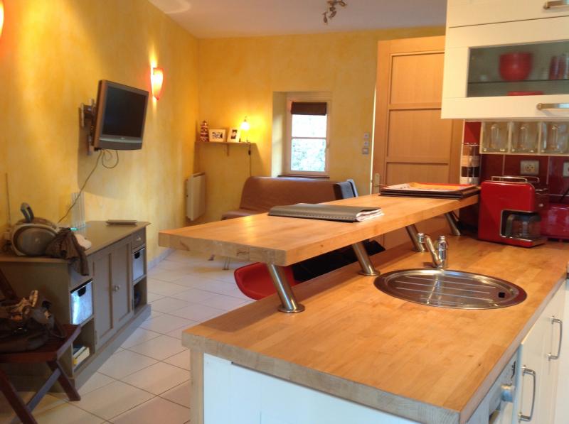 photo 4 Owner direct vacation rental Dinard appartement Brittany Ille et Vilaine