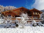 Peisey-Vallandry holiday rentals chalets: chalet no. 2248