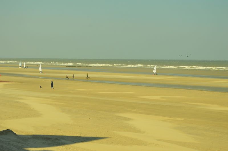 photo 20 Owner direct vacation rental Bray-Dunes appartement Nord-Pas de Calais Nord