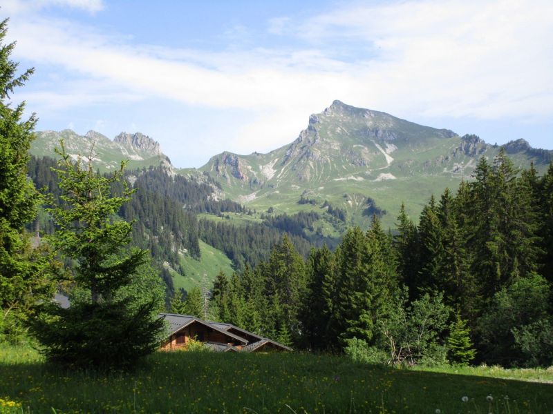 photo 9 Owner direct vacation rental Praz de Lys Sommand studio Rhone-Alps Haute-Savoie