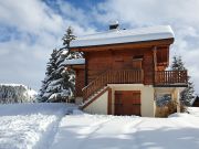 Haute-Savoie mountain and ski rentals: appartement no. 2381