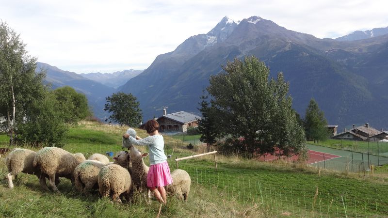 photo 14 Owner direct vacation rental La Rosire 1850 studio Rhone-Alps Savoie View from the property