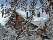 Northern Alps holiday rentals for 16 people: chalet no. 2501