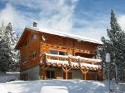 French Pyrenean Mountains holiday rentals for 9 people: chalet no. 25302