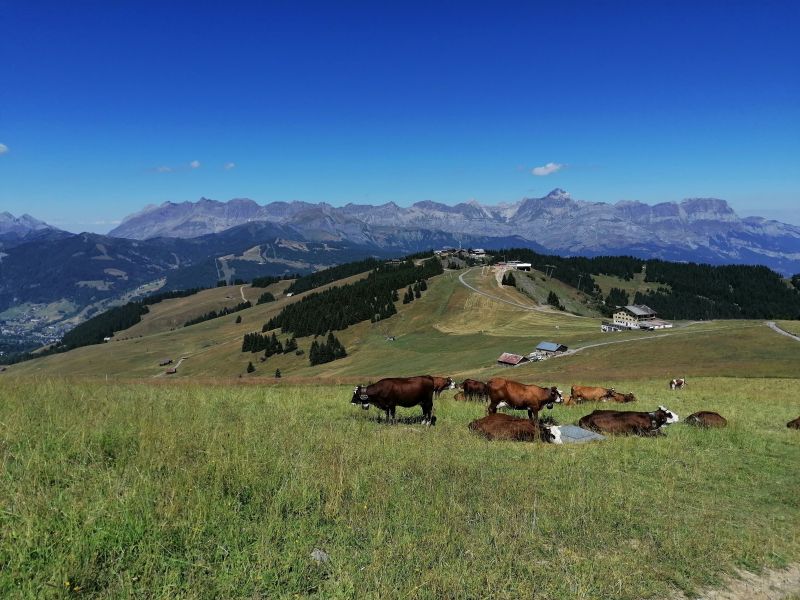 photo 8 Owner direct vacation rental Saint Gervais Mont-Blanc studio Rhone-Alps Haute-Savoie Surroundings