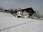 mountain and ski rentals: appartement no. 2553