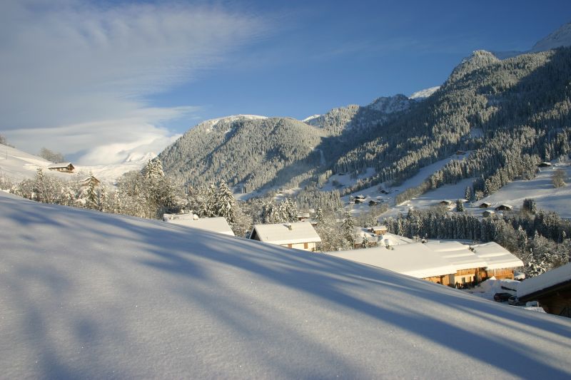 photo 15 Owner direct vacation rental Les Saisies appartement Rhone-Alps Savoie